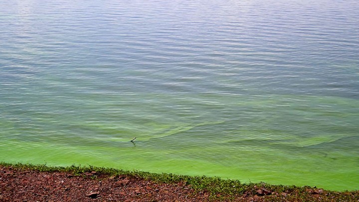 Ricardo Teijeiro: &quot;La mayoría de los ríos que están en las cercanías de las grandes urbes tienen contaminación y se incrementa más cuando hay menor cantidad de agua y altas temperaturas”