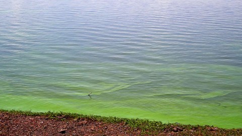 Ricardo Teijeiro: &quot;La mayoría de los ríos que están en las cercanías de las grandes urbes tienen contaminación y se incrementa más cuando hay menor cantidad de agua y altas temperaturas”